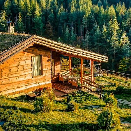 Панорама Хаус Лещен И Еко Къщи Дървена И Землянка 외부 사진