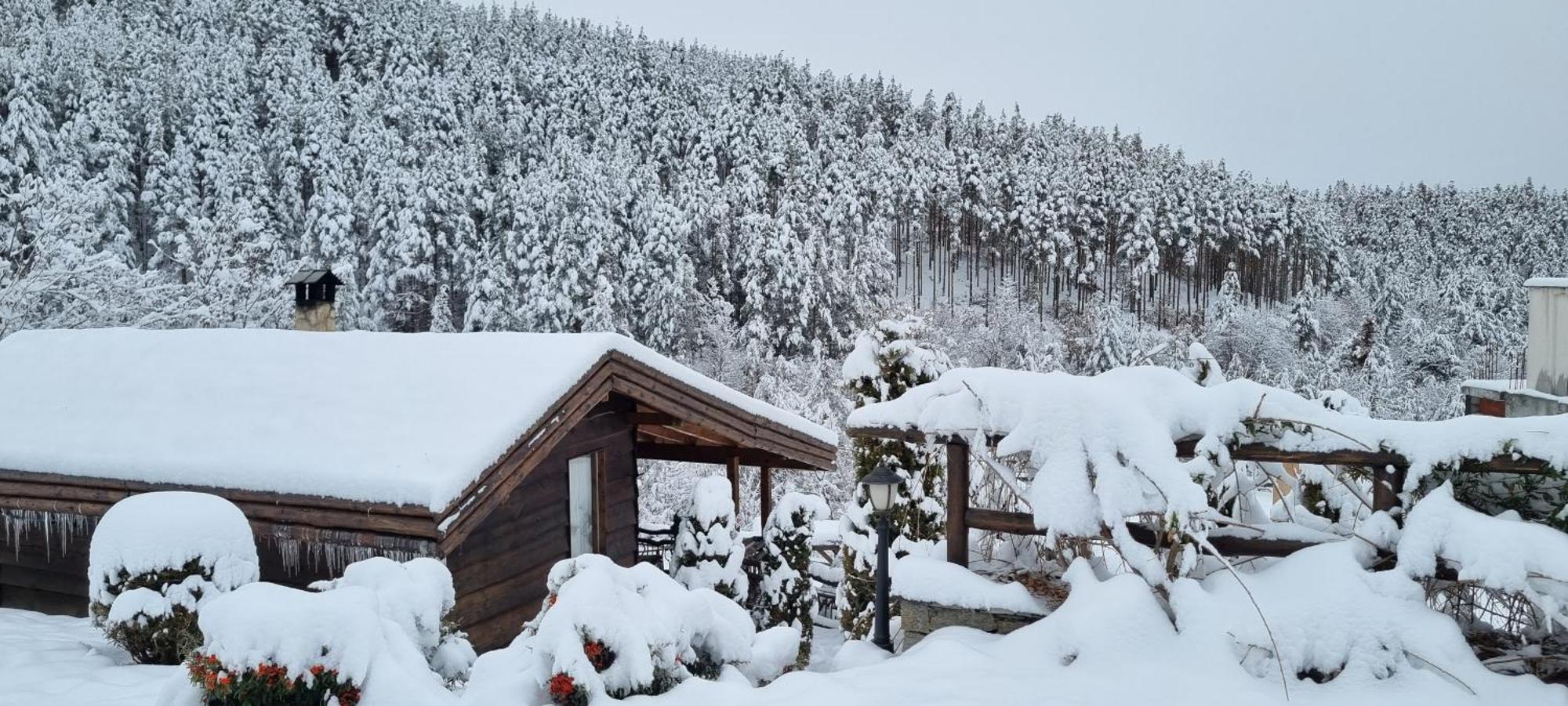 Панорама Хаус Лещен И Еко Къщи Дървена И Землянка 외부 사진